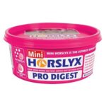 Horslyx Minilick Pro Digest Balancer Lick 12 x 650g