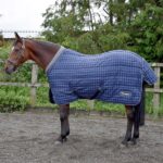 Whitaker-Stable-Rug-Walcot-200-Gm-Navy
