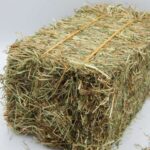 bale-of-hay